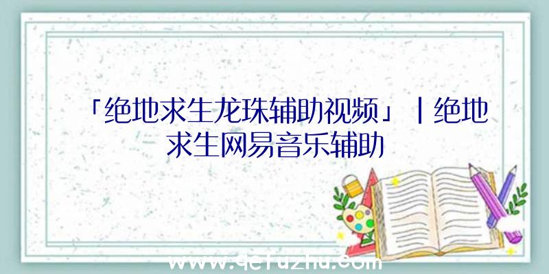 「绝地求生龙珠辅助视频」|绝地求生网易音乐辅助